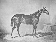 Charles XII, Winner of the St. Leger 1839, (1911)