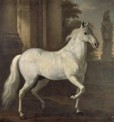 Charles XI's favourite horse Brilliant, 1680. Creator: David Klocker Ehrenstrahl