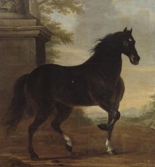 Charles XI's favourite horse Tott, 1680. Creator: David Klocker Ehrenstrahl