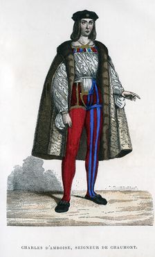 Charles d'Amboise, Seigneur de Chaumont, 1882-1884