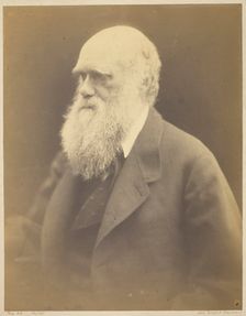 Charles Darwin, 1868. Creator: Julia Margaret Cameron