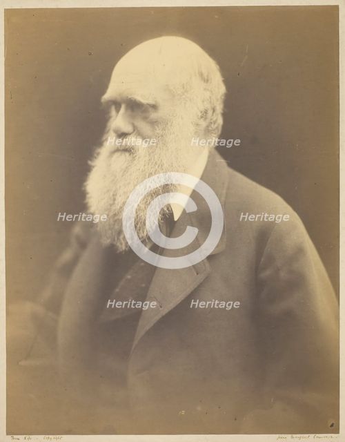 Charles Darwin, 1868. Creator: Julia Margaret Cameron.