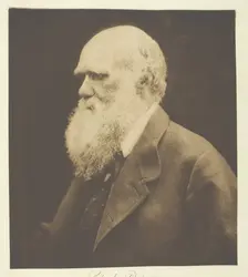 Charles Darwin, 1868, printed c. 1893. Creator: Julia Margaret Cameron