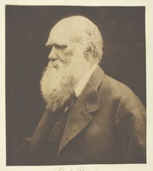 Charles Darwin, 1868, printed c. 1893. Creator: Julia Margaret Cameron