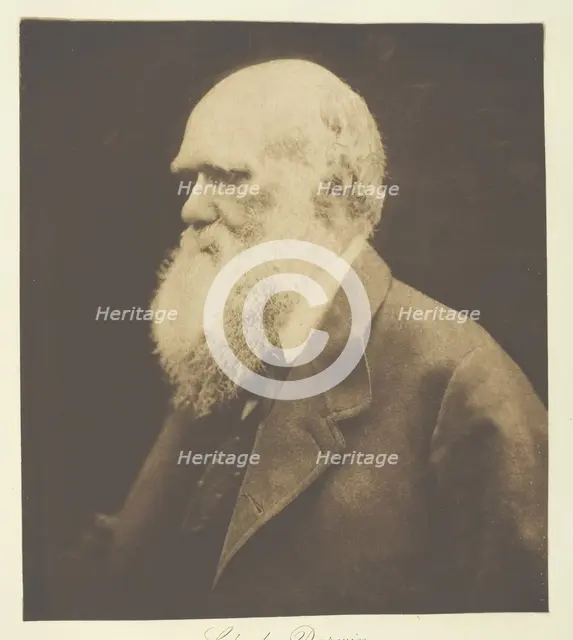 Charles Darwin, 1868, printed c. 1893. Creator: Julia Margaret Cameron.