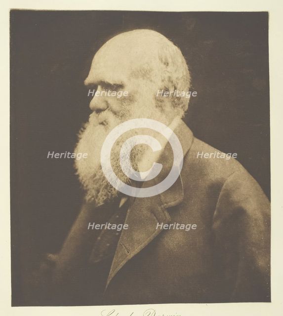Charles Darwin, 1868, printed c. 1893. Creator: Julia Margaret Cameron.