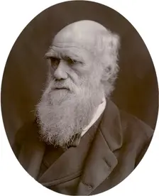 Charles Darwin, 1878. Creator: Lock & Whitfield