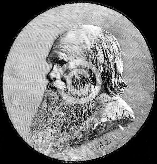 Charles Darwin, 1882. Artist: Unknown