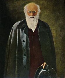 Charles Darwin 1809-1882. - Gemälde von Collier 1934. Creator: Unknown