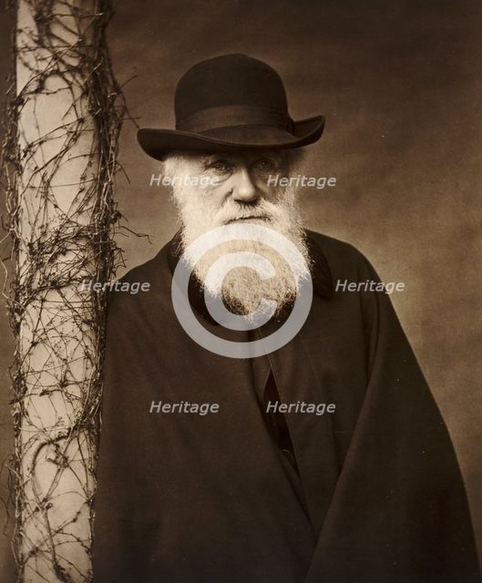 Charles Darwin at his home at Down House, Kent, c1880. Artist: Unknown