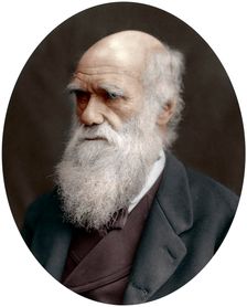 Charles Darwin, British naturalist, 1878