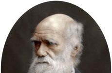 Charles Darwin, British naturalist, 1878. Artist: Unknown