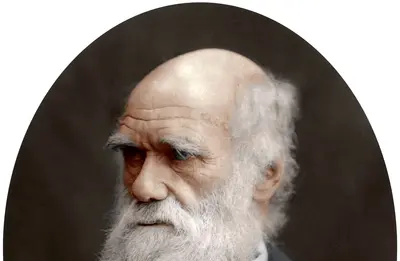 Charles Darwin, British naturalist, 1878. Artist: Unknown