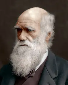 Charles Darwin, British naturalist, 1878