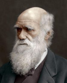 Charles Darwin, British naturalist, 1878