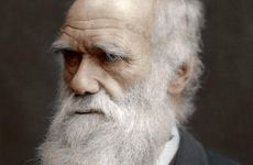 Charles Darwin, British naturalist, 1878. Artist: Unknown