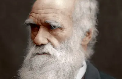 Charles Darwin, British naturalist, 1878. Artist: Unknown
