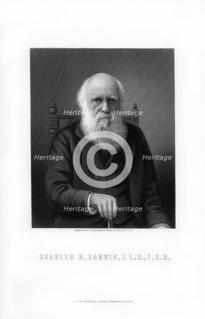 Charles Darwin, British naturalist, (1899).Artist: C Cook