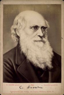 Charles Darwin, British naturalist, c1860s-c1870s. Artist: Ernst Hader