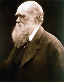 Charles Darwin, British naturalist, c1870s. Creator: Julia Margaret Cameron