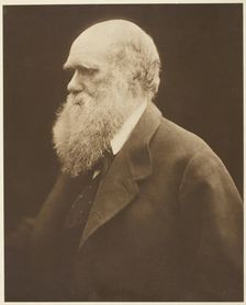 Charles Darwin, c. 1868, printed 1875. Creator: Julia Margaret Cameron