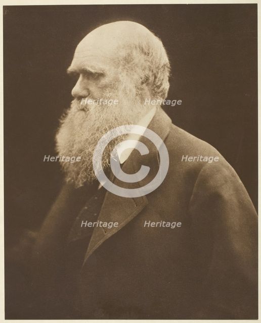 Charles Darwin, c. 1868, printed 1875. Creator: Julia Margaret Cameron.