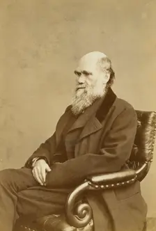 Charles Darwin, c1870s. Creator: London Stereoscopic & Photographic Co