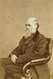 Charles Darwin, c1870s. Creator: London Stereoscopic & Photographic Co