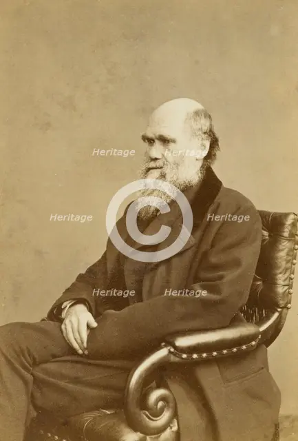 Charles Darwin, c1870s.  Creator: London Stereoscopic & Photographic Co.