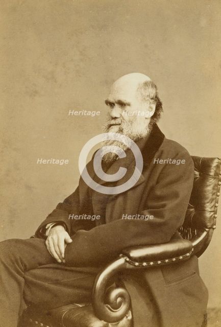 Charles Darwin, c1870s.  Creator: London Stereoscopic & Photographic Co.