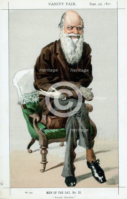 Charles Darwin, English naturalist, 1871. Creator: Unknown.