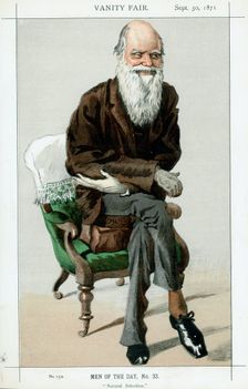 Charles Darwin, English naturalist, 1871. Creator: Unknown