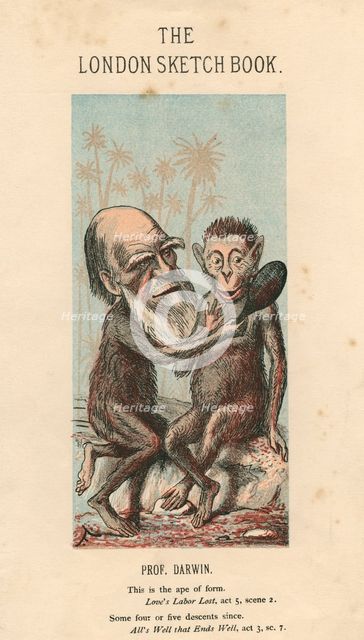 Charles Darwin, English naturalist, 1874. Artist: Unknown