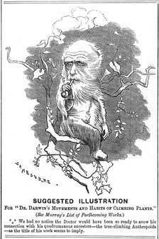 Charles Darwin, English naturalist, 1875. Creator: Edward Linley Sambourne