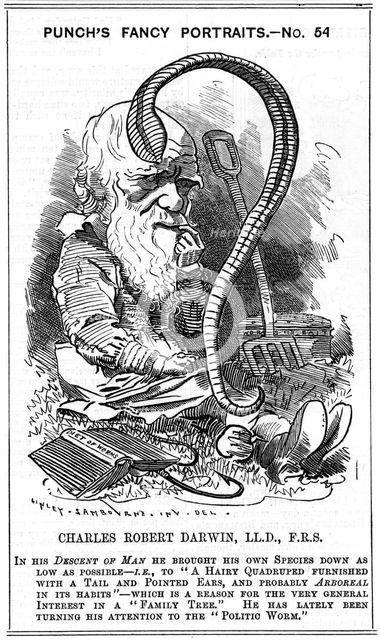 Charles Darwin, English naturalist, 1881. Creator: Edward Linley Sambourne.