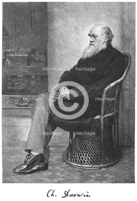 Charles Darwin, English naturalist, 1883. Creator: Unknown.