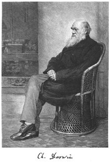 Charles Darwin, English naturalist, 1883. Creator: Unknown