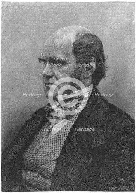 Charles Darwin, English naturalist, 1884. Creator: Anon.