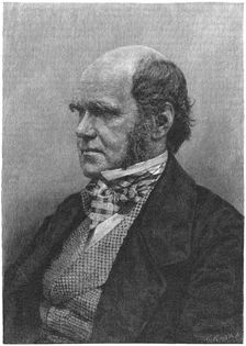 Charles Darwin, English naturalist, 1884. Creator: Anon