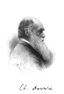 Charles Darwin, English naturalist, c1880. Creator: Unknown