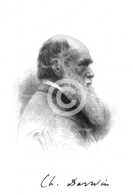 Charles Darwin, English naturalist, c1880. Creator: Unknown.