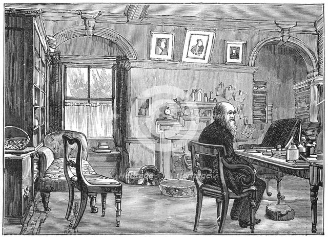 Charles Darwin, English naturalist, in his study, c1870 (1887). Creator: Anon.