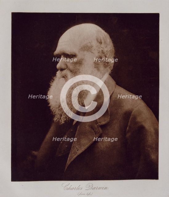 Charles Darwin (from life), 1868.  Creator: Julia Margaret Cameron.