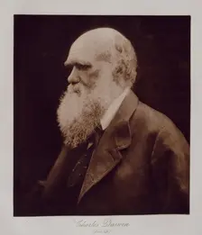 Charles Darwin (from life), 1868. Creator: Julia Margaret Cameron