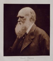 Charles Darwin (from life), 1868. Creator: Julia Margaret Cameron