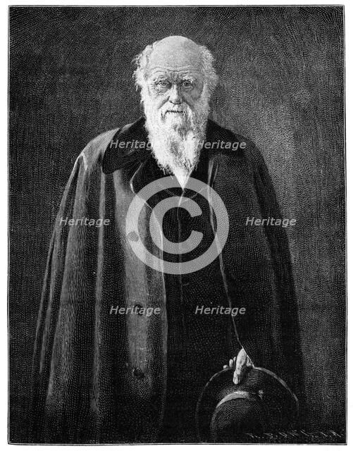 Charles Darwin, renowned naturalist and thinker, (1900) Artist: Unknown