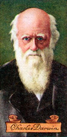 Charles Darwin, taken from a series of cigarette cards, 1935