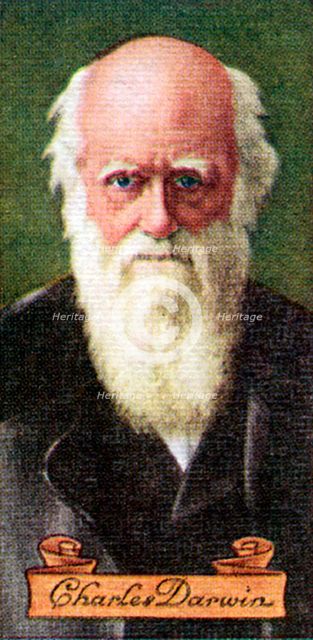 Charles Darwin, taken from a series of cigarette cards, 1935. Artist: Unknown
