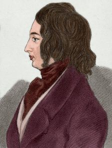 Charles Dickens (1812-1870), British novelist, 19th century. Creator: Alfred d'Orsay