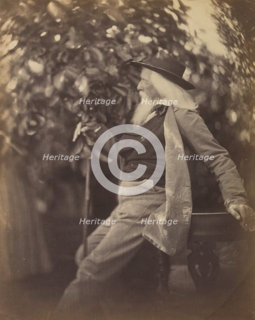 Charles Hay Cameron, Esq., in His Garden at Freshwater, 1865-67. Creator: Julia Margaret Cameron.